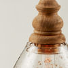 Image sur JUNIPER